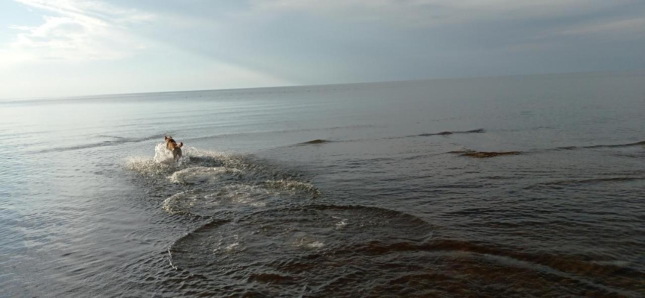 House, Garden & Sauna. Free Parking. Train Stop-200 M. Sea-1 Km. Юрмала Экстерьер фото
